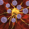 T cells attack a cancer cell