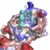 A drug known as NVP-DKY709 binds to a Helios protein