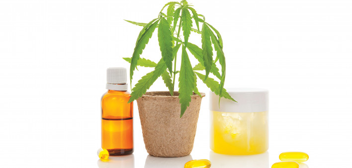cannabis pot plant and cannabis oil and gel caps