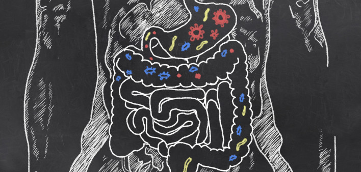 gut-bacteria