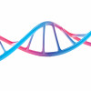 DNA strand illustration