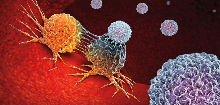 Cancer Immunotherapy as a human immune system therapy concept as a biomedical or biomedicine oncology treatment using the natural T cell fighting properties of the body as a 3D render.