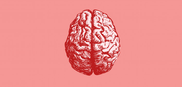 Brain