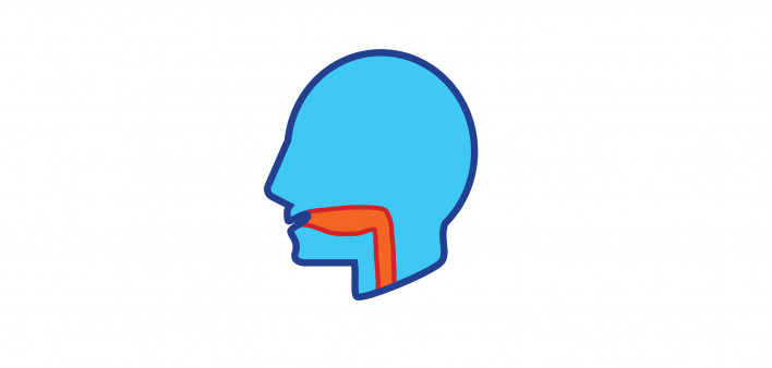 illustration of head and throat