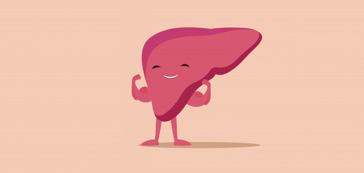 illustration of liver flexing muscles