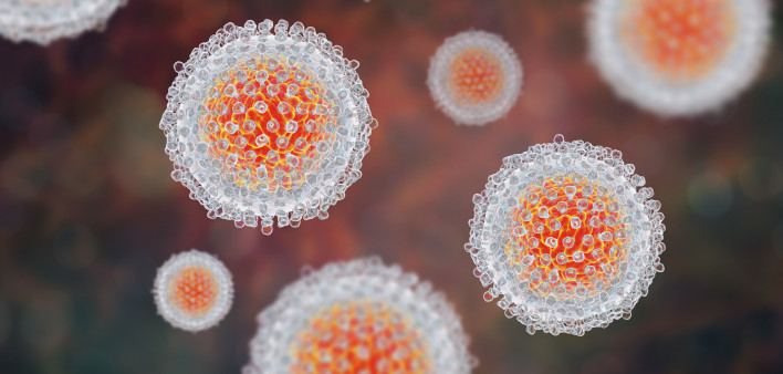 Hepatitis C virus, HCV