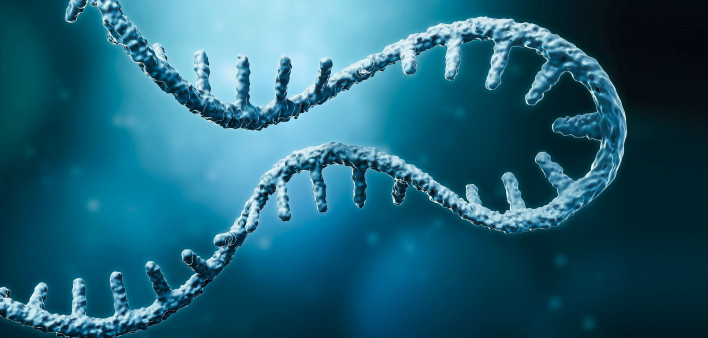 Messenger RNA or mRNA strand 3D rendering illustration