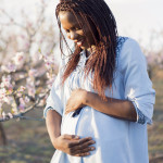 Portrait of a beautiful, young African woman enjoying her pregnancy at the orchard in bloom.