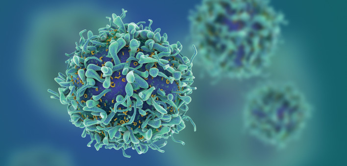 T-cells