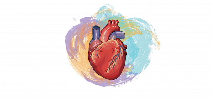 colorful illustration of a heart