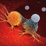 Cancer Immunotherapy as a human immune system therapy concept as a biomedical or biomedicine oncology treatment using the natural T cell fighting properties of the body as a 3D render.