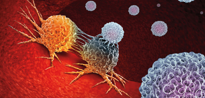 Cancer Immunotherapy as a human immune system therapy concept as a biomedical or biomedicine oncology treatment using the natural T cell fighting properties of the body as a 3D render.