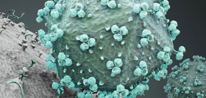 HIV virus stock photo AIDS, HIV,