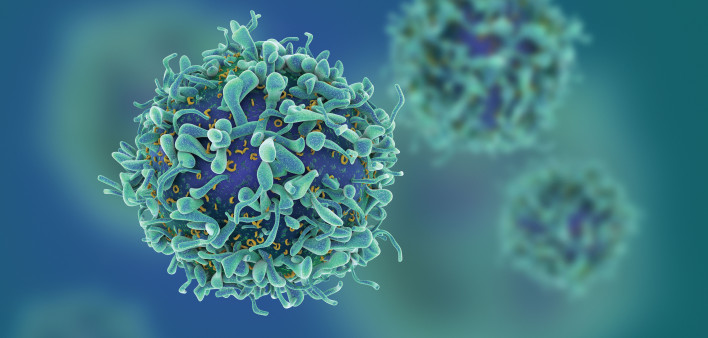 T-cells