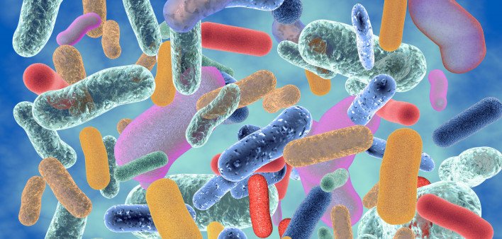 abstract image of colorful bacteria