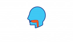 illustration of head and throat