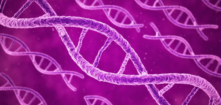 DNA-pink