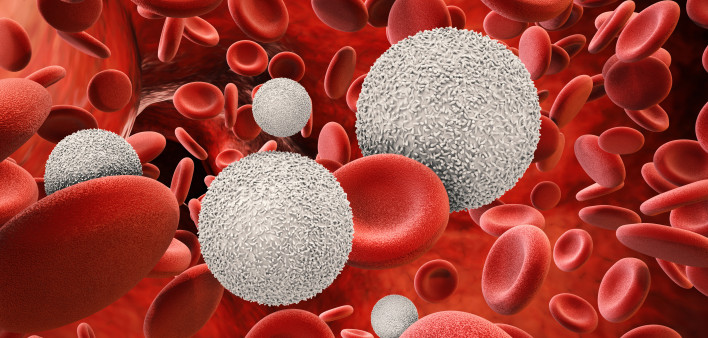 White blood cells with red blood cells