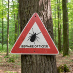 Beware of Ticks sign in woods