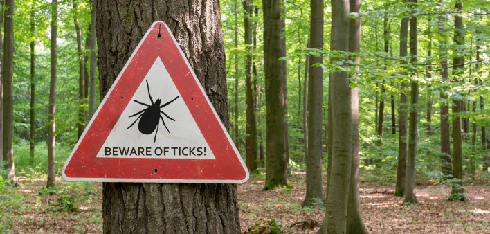 Beware of Ticks sign in woods