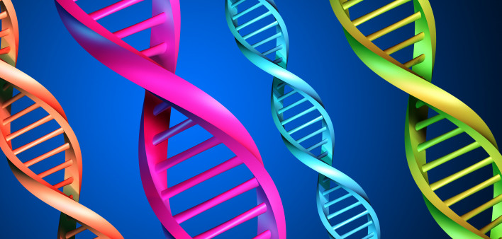 DNA-multicolor