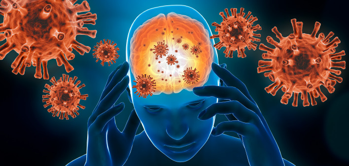 brain, virus, inflammation, COVID-19