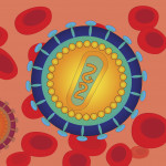 Schematic image of the human immunodeficiency virus
