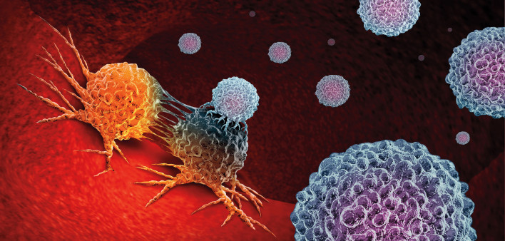 immune cells attack cancer cells