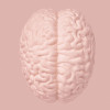 illustration of a brain