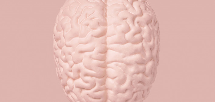 illustration of a brain