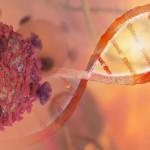 DNA strand and Cancer Cell Oncology