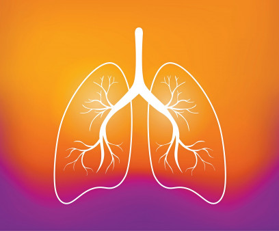 illustration outline of lungs