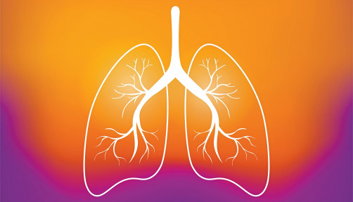 illustration outline of lungs