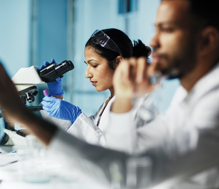 researchers working in the lab