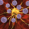 T cells attack a cancer cell