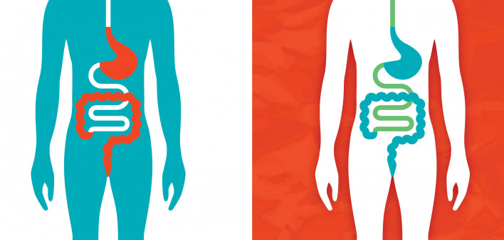illustration of a figure showing the digestive system