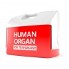 Red Cooler "Human Organ for Transplant"