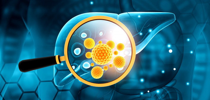 liver, virus, hepatitis B, hepatitis C Human liver