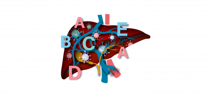 illustration of liver with letters
