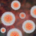 Hepatitis C virus model, 3D illustration.