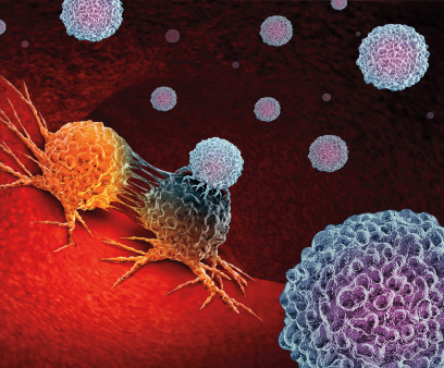 immune cells attack cancer cells