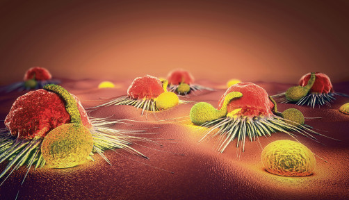 3d illustration of a cancer cell and lymphocytes