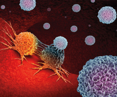 immune cells attack cancer cells