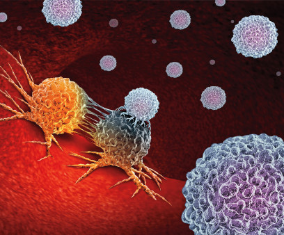 Cancer Immunotherapy as a human immune system therapy concept as a biomedical or biomedicine oncology treatment using the natural T cell fighting properties of the body as a 3D render.