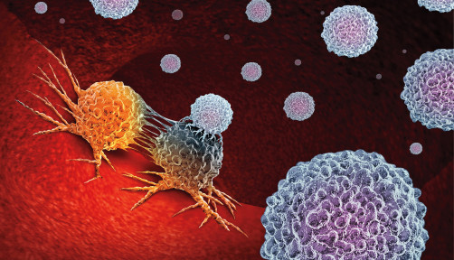 Cancer Immunotherapy as a human immune system therapy concept as a biomedical or biomedicine oncology treatment using the natural T cell fighting properties of the body as a 3D render.
