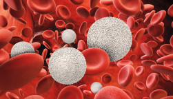 3d rendering white blood cells with red blood cells