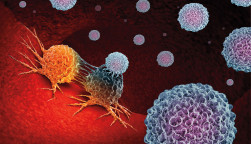 immune cells attack cancer cells