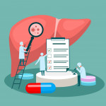 tiny doctor character diagnoses liver. vector illustration.