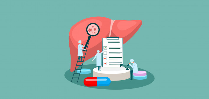tiny doctor character diagnoses liver. vector illustration.