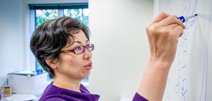 Motoko Koyama, MD, PhD, investigates how patients' pre-transplant gut microbiomes nfluence their post-transplant outcomes.